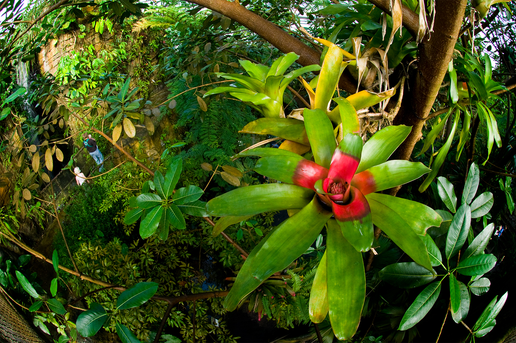 Naturtro Randers Regnskov - Zoo